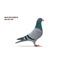 Lot 1 BELG 2016 6200110 B.Bar Hen