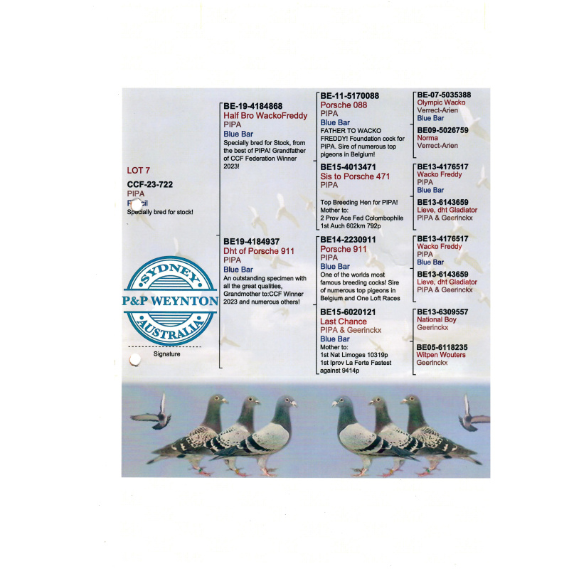 Lot 1 CCF 2024 6050 B.Bar Hen