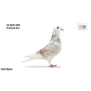 Lot 36 SH 2020 1044 R.Grizzle Hen