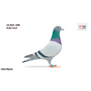 Lot 39 SH 2021 1040 B.Bar Cock