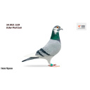 Lot 65 SH 2021 1129 B.Bar Flighty Cock